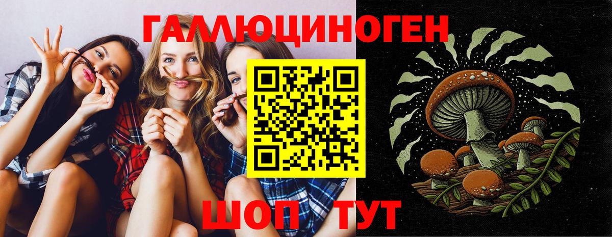 продажа наркотиков  Псилоцибиновые грибы мухоморы  Вход с VPN  Балтийск 