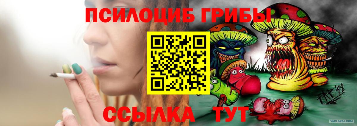Галлюциногенные грибы Cubensis Балтийск